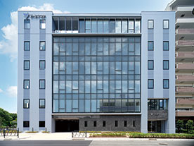 Yamade スポーツベット 市場規模